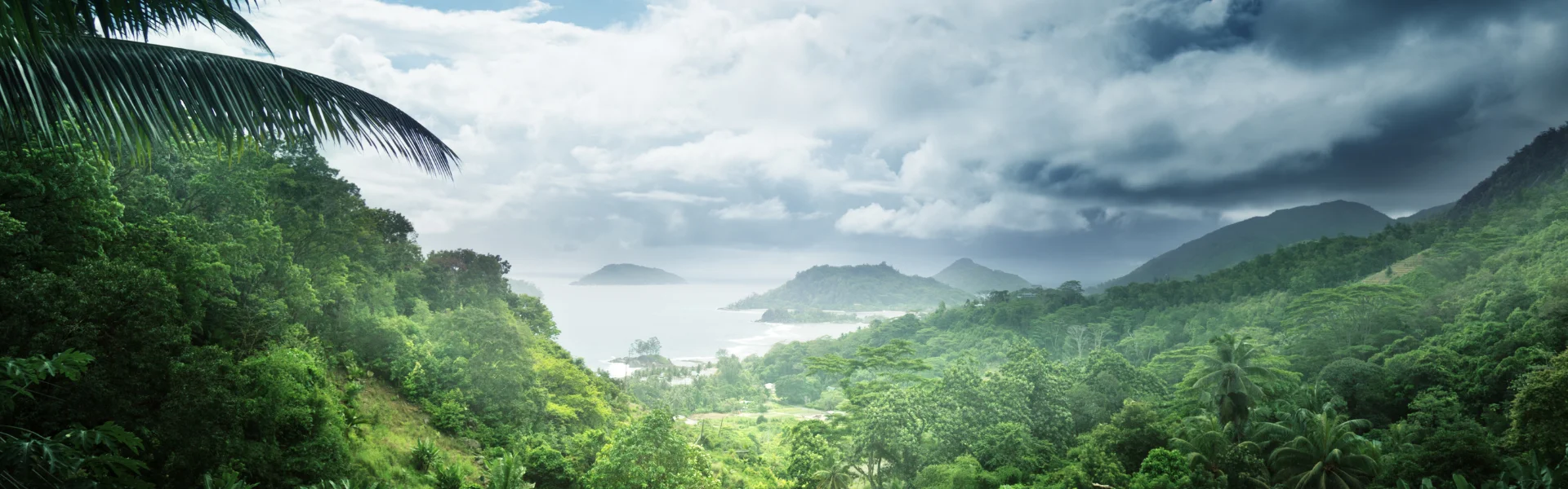 Untitled (500 x 500 px) (1920 x 600 px) (2)
