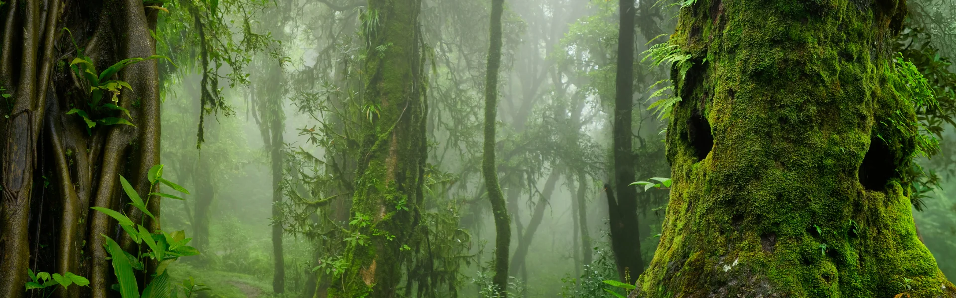 Untitled (500 x 500 px) (1920 x 600 px)